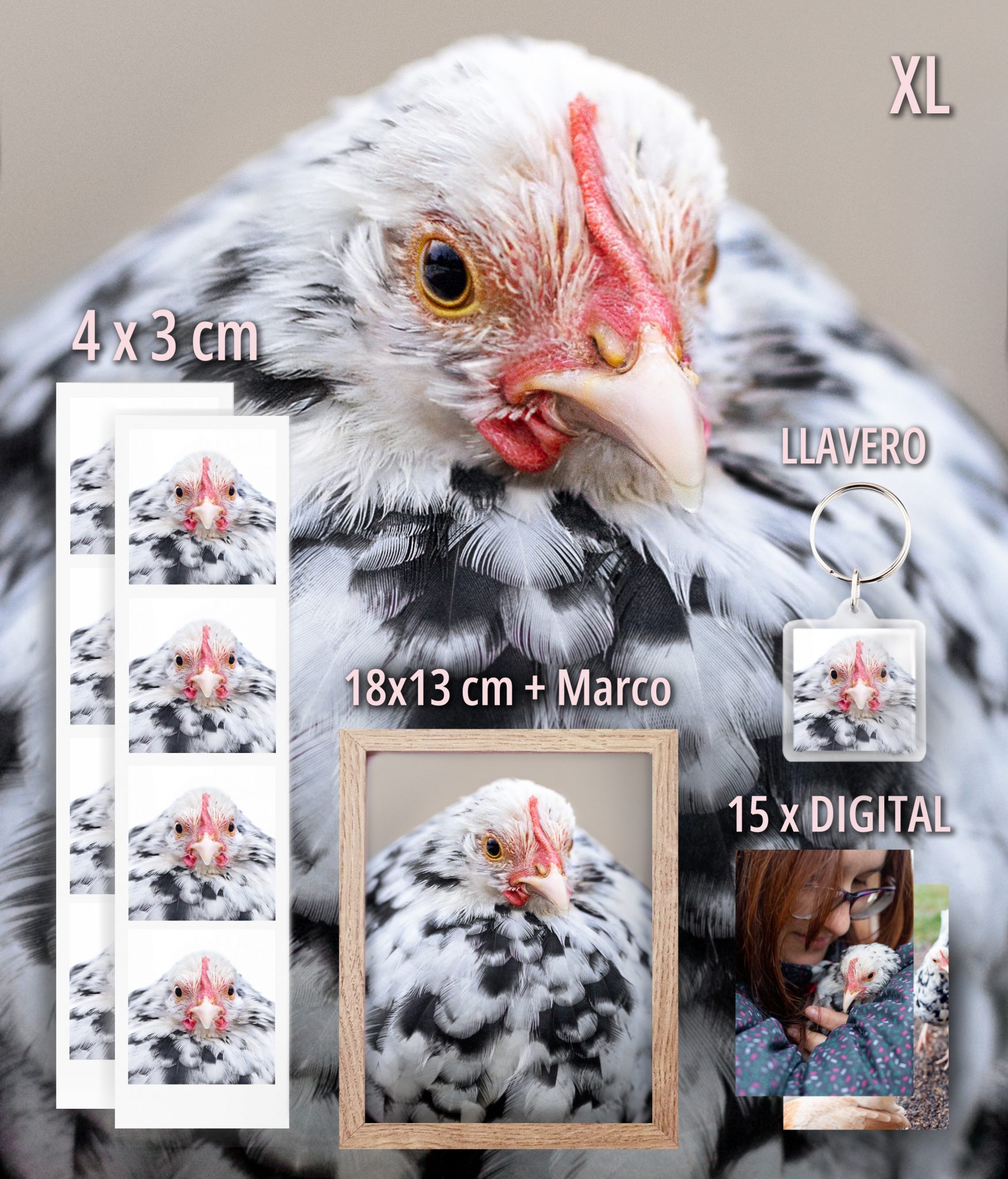 XL